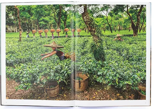 In Search of Elsewhere. Unseen Images - фото 3