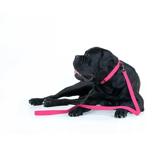 Повідець для собак Waudog Waterproof водостійкий M, рожевий - фото 6