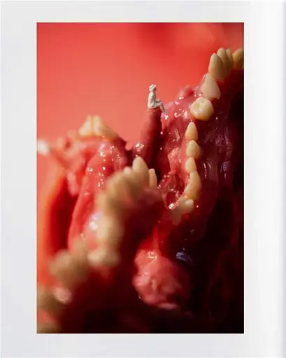 On Everyone's Lips. The Oral Cavity in Art and Culture - фото 4