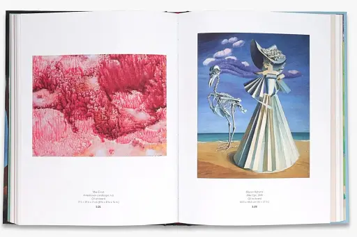 Forbidden Territories. 100 Years of Surreal Landscape - фото 5