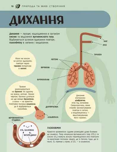 Енциклопедія STEM для дітей: 100 понять майбутнього генія - фото 11