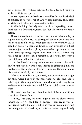 Insurgent. Book 2 - фото 9