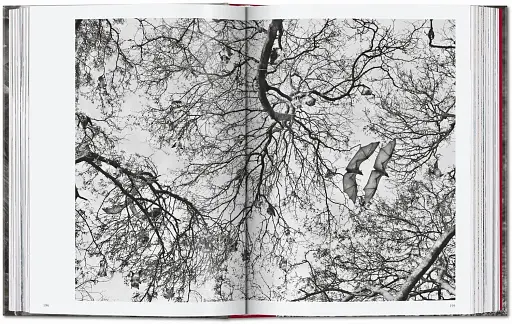 Sebastiao Salgado. Genesis. 45th Edition - фото 9