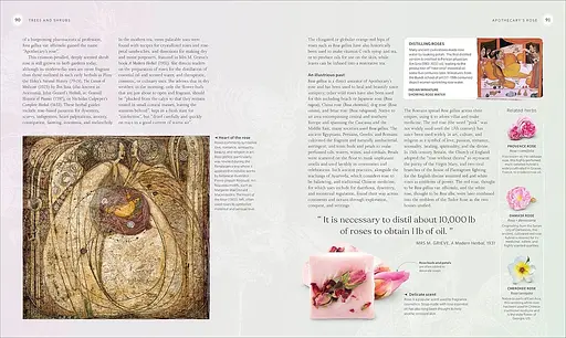 The Herb Book - фото 8