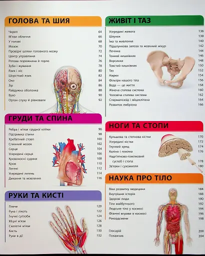 Енциклопедія знань. Тіло людини - фото 4