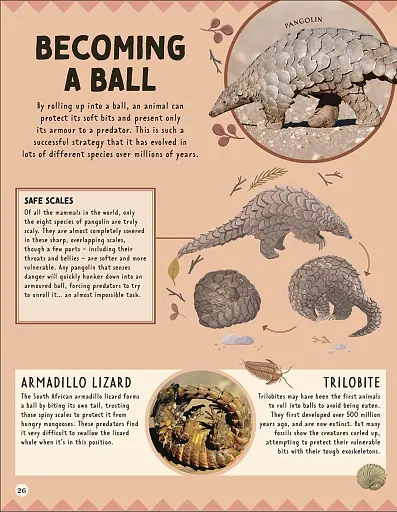 How Not to Get Eaten - фото 7