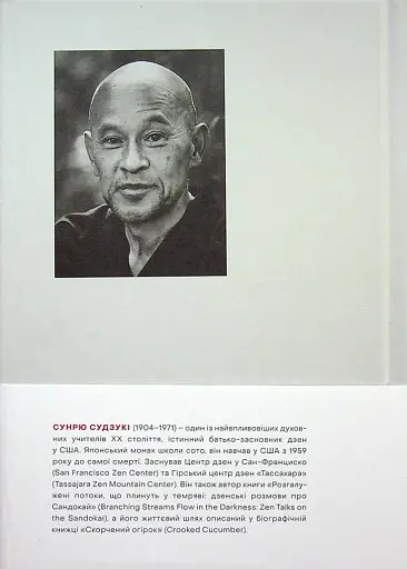 Свідомість Дзен. Свідомість початківця - фото 2