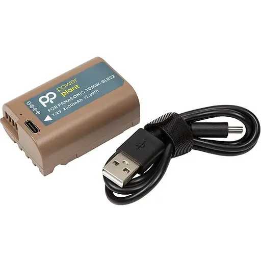 Акумулятор PowerPlant Panasonic TDMW-BLK22 2400mAh з кабелем Type-C