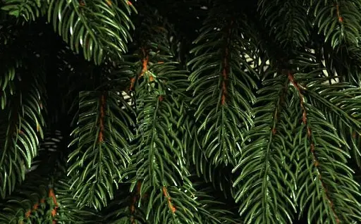 Гирлянда из хвои Премиум 1.5 м литая (Зеленая) - фото 8