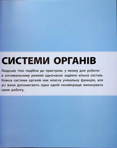 Енциклопедія знань. Тіло людини - фото 16
