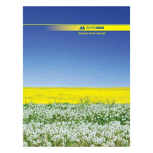 Книга обліку, А4, 96 арк., клітинка, офсет, тверда ламінована обкладинка