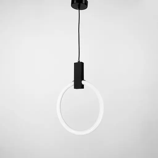 Кільцевий підвіс у чорному корпусі Ø 30 см | Арт. MJ 135-300 | Line F - фото 6