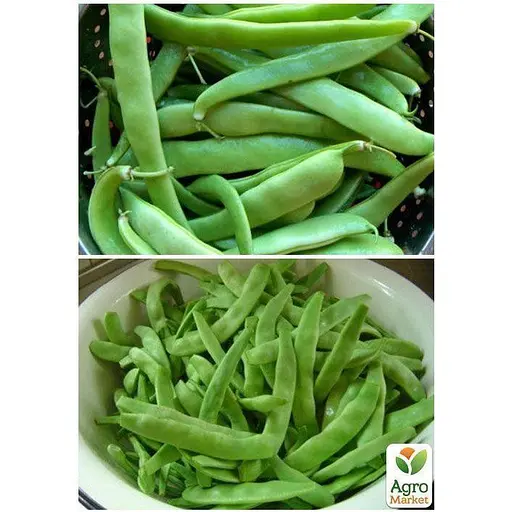 Фасоль "Жемчужина средняя" ТМ "Весна" 20г (22310) - фото 2