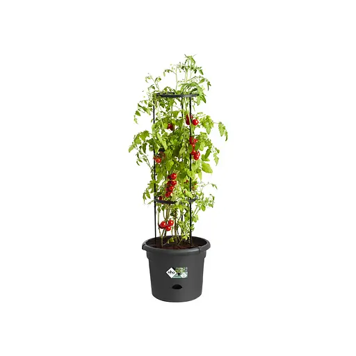 Вазон Elho Green Basics для томатів чорний 33 см (331634) - фото 2