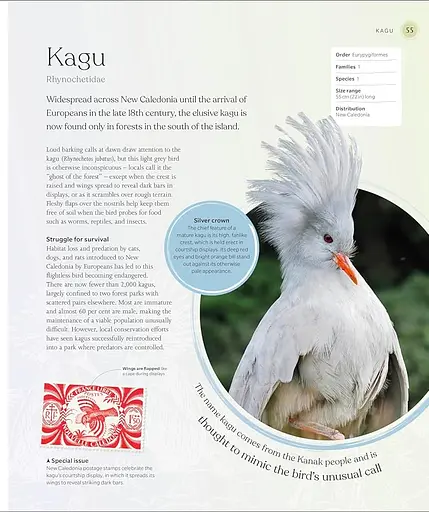 The Bird Book - фото 3