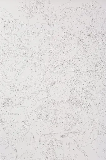 Набір для розпису по номерах "Помаранчевий букет" 40*50 см, IDEA2-GX47464, ТМ "99IDEAS" - фото 7