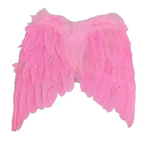 Крила ангела - фото 1