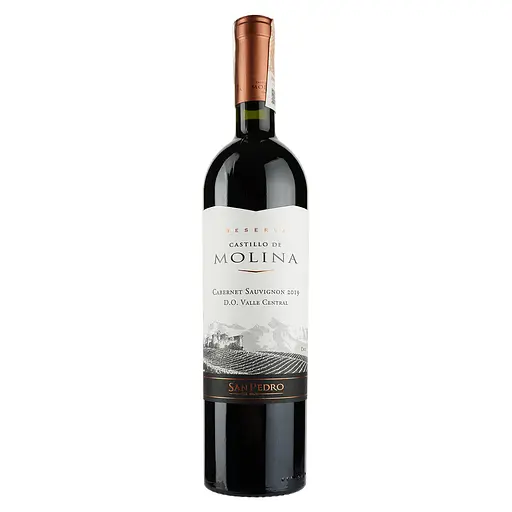 Вино Castillo de Molina Cabernet Sauvignon, червоне, сухе, 11,5-14%, 0,75 л - фото 1