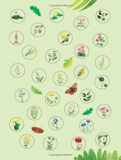 Flowers to Spot. Usborne Minis - фото 6