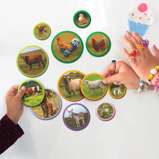 Детский магнитный набор Монтессори "Семьи животных: ферма" DoDo Toys 200271, 36 элементов - фото 3