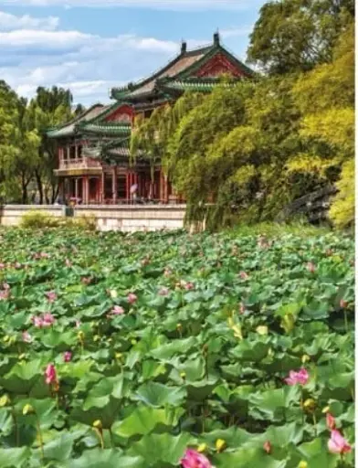 Amazing Gardens - фото 2