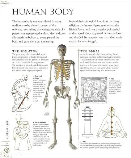 Signs & Symbols - фото 4
