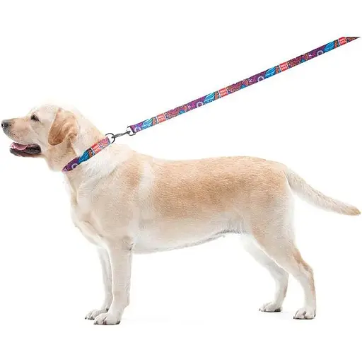 Поводок для собак Waudog Nylon нейлоновый, рисунок "Лето" - фото 5