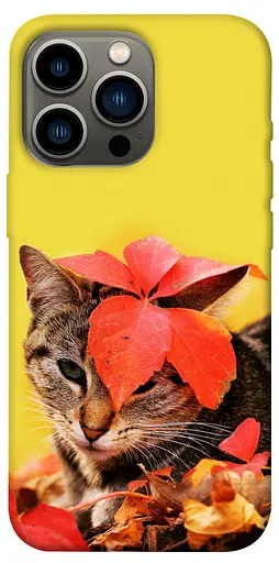 TPU чохол Осінній котик - фото 1