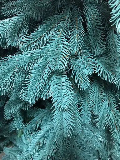 Штучна пухнаста ялинка Еліт (висота 3.50 м) лита (Блакитна) - фото 2