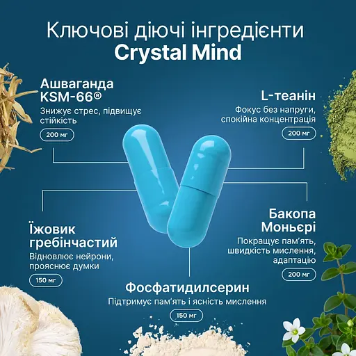Добавка для фокуса кристаллического мышления когнитивной выносливости памяти и адаптации к стрессу Perla Helsa Crystal Mind капс. 40 шт. - фото 5