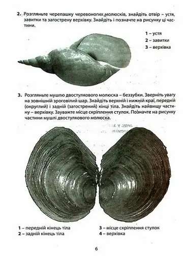 Біологія. 7 клас. Зошит для лабораторних досліджень та практичних робіт - фото 4