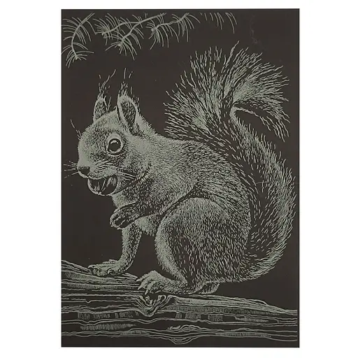 Гравюра А5 "Білочка" ГрА5з-13 економ варіант у пакеті 21 х 14,8 см