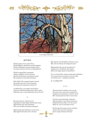 Моя любов - фото 12