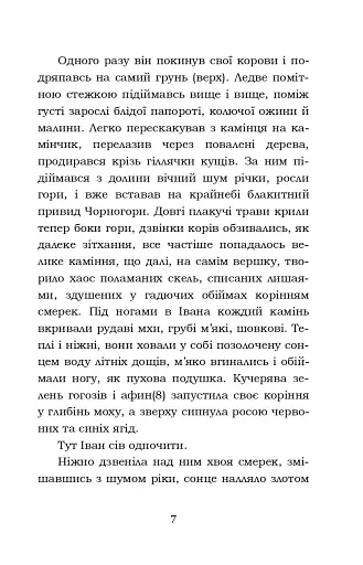 Тіні забутих предків. Intermezzo. Дорогою ціною - фото 7