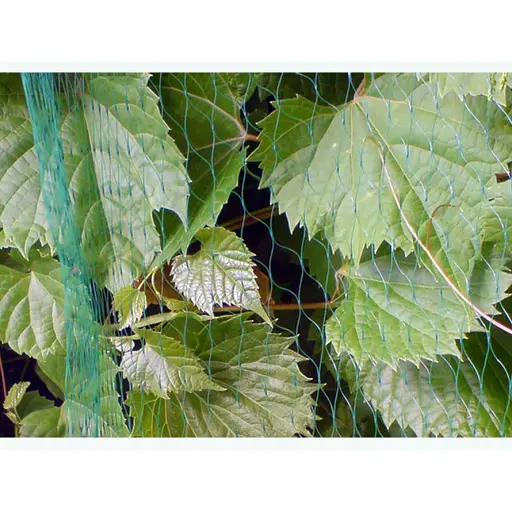 Сітка для захисту від птахів Bradas BIRD NET 10 г/м² 4x5 м AS-BN10191940005  - фото 2