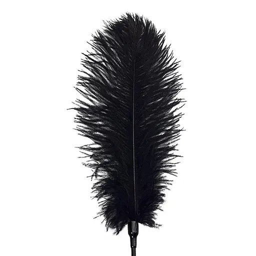 Лоскіт зі страусиним пером Art of Sex - Feather Tickler, колір Чорний - фото 3
