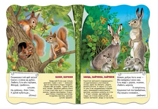 Малятко-розумнятко. Лісові тварини - фото 6