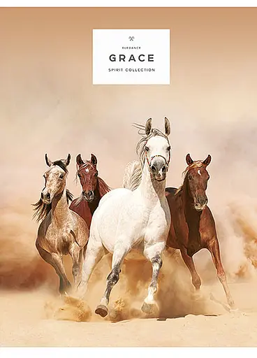 Комплект 4 шт загальних зошитів. Зошит Школярик А5 80 арк. у лінію 5061 4823088207750 - фото 2