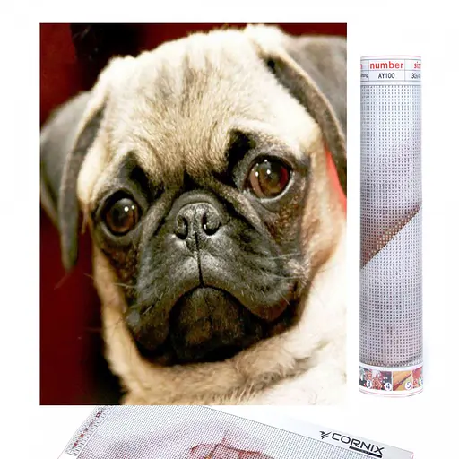 Набір алмазної мозаїки (вишивки) Cornix Art 40 x 30 см AY08 - фото 1