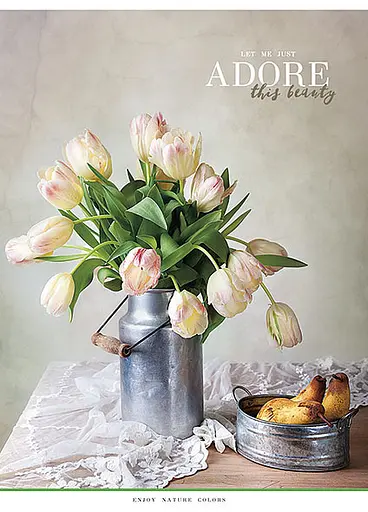 Комплект 4 шт общих тетрадей. Тетрадь Школярик А5 48 л. в линию 5067 4823088207620 - фото 3