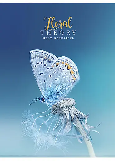 Комплект 4 шт загальних зошитів. Зошит Школярик А5 80 арк. у лінію 5065 4823088207774 - фото 4