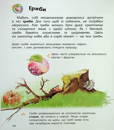 Енциклопедія дошкільника. Мікроби - фото 13