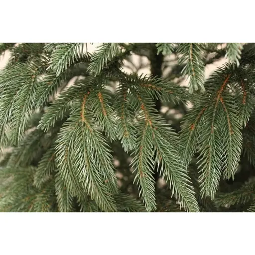 Штучна пухнаста ялинка Казка (висота 2.10 м) лита (Зелена) - фото 3