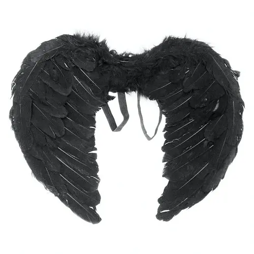 Крила янгола - фото 1