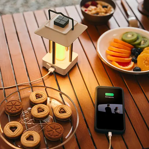 Фонарь кемпинговый Naturehike CNH22DQ009 Type-C Коричневый - фото 3