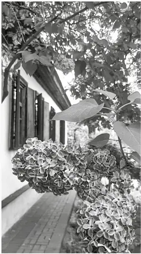 Куренівка. Пріорка. Простір Тараса Шевченка - фото 4