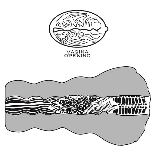 Мастурбатор LoveToy Alienapos;s Pie Masturbator #3 (телесный) - фото 11