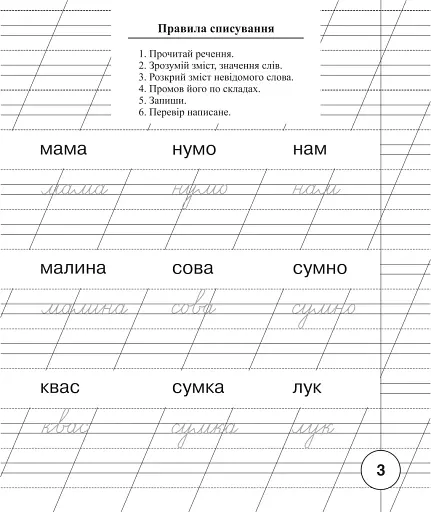 Українська мова. 1 клас. Зошит для списування з калькою - фото 2