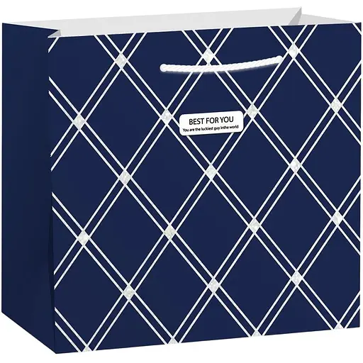 Пакет бумажный Malevaro Medium 17.8x9.8x22.9 см (760417ML-)