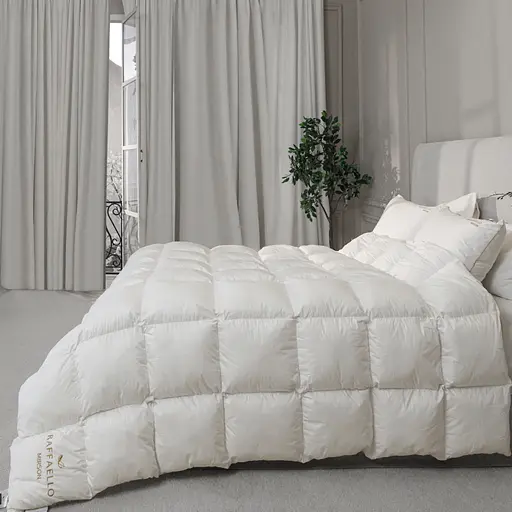 Одеяло пуховое MirSon Raffaello White 062 155х215 см (2200000075055)